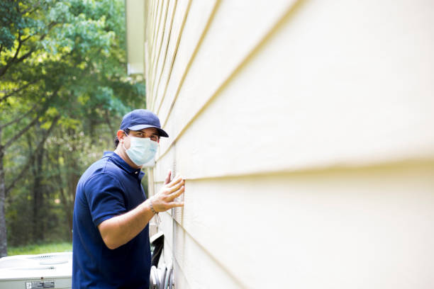 Best Siding Painting and Refinishing  in Pearland, TX